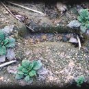 연동농장 이미지