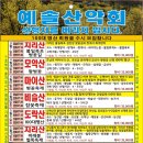 예솔 이미지