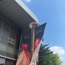 [한요한 단독콘서트 후기] SHINING STAR l 예스24라이브홀 시야