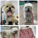 노곡1리마을회관 이미지