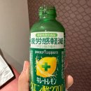 정남매타코야키 | 도쿄 여행 2일차 매트로패스 교환, 시부야 캣스트리트, 단톤, 스크램블 교차로, 디즈니스토어, 메가돈...