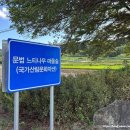 천암마을숲 공중화장실 | 문법 느티나무 마을숲 국가산림문화자산 1호