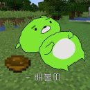 돈대패 이미지