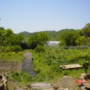 초야농장 이미지