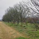 꽃비원스테이 이미지