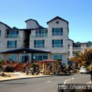 씨에코비치 이미지