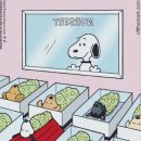 뉴아모르 산후조리원 이미지