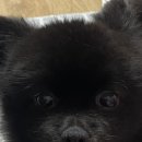 반여3동-13 이미지