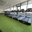 탑티어 피트니스 이미지