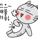두마리찜닭두찜광진 이미지