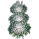 김*명