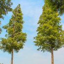 덕산목장 이미지