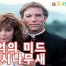 미드 가시나무새 OST｜Henry Mancini ｜The Thorn Birds Theme 이미지