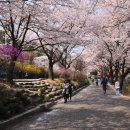 앞산공원 이미지