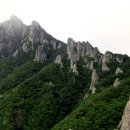 한라산천연보호구역 이미지