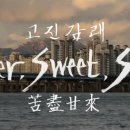 연어이야기 브런치