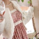 e바라기 이미지