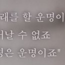 모노오페라 라 칼라스 이미지