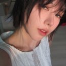 와이-헤어