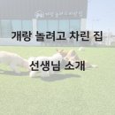 댕린이집 이미지