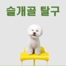 천안동물의료센터 24시 이미지