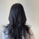 데일리수 이미지