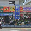 로또플라워 이미지