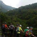 죽마고우 - 아산시 | 죽마고우