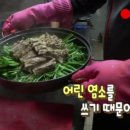 지산흑염소농원 | 극한직업 밥주는 민박집 흑염소 코스