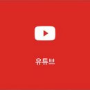 법무법인숲 이미지