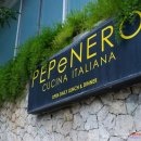 페페네로(Pepenero) Daum카페