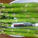 흙사랑3농장 이미지