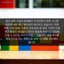 대한시스템주 이미지