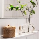 이미지-집 이미지