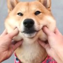 햇빛 좋은 PT 이미지