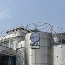 생곡로 | 엠오엘/강서구/디저트카페/내돈내산/솔직후기