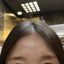 [춘첩눈썹디자인] M뷰티갤러리 ㅣ 한 번쯤 해보고 싶었던 1:1 맞춤 눈썹컨설팅