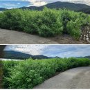 신기리농장 이미지