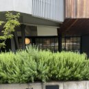 부산 사직동 가성비 좋은 카페 “빌라빌레쿨라”