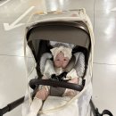오이스터4 유모차 모기장 추천 마니또 메쉬 모기장 내돈내산 후기 🫶