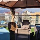 살롱드독 이미지