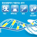수정석유 이미지