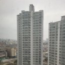 대동아파트상가 | 대전 탄성코트 대동 새들뫼 휴먼시아 아파트 베란다칠 세탁실 페인트칠 시공후기