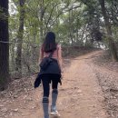 서봉산산림욕장 이미지