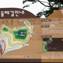 궁농오토캠핑장