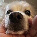 소래축산 | 2026.01