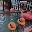 르미르몽 풀빌라 펜션 이미지