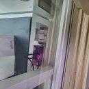 방배한강동물병원 | 수원 곰팡이 제거 업체 벽지 벽 베란다 화장실 욕실 창틀 실리콘 전문