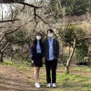 홍매원 이미지