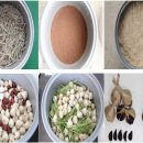 충북농업기술원 마늘연구소 이미지